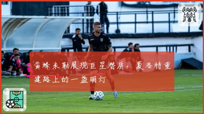 黄蜂米勒展现巨星潜质,夏洛特重建路上的一盏明灯