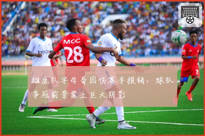 雄鹿队字母哥因伤赛季报销，球队争冠前景蒙上巨大阴影