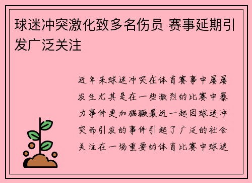球迷冲突激化致多名伤员 赛事延期引发广泛关注